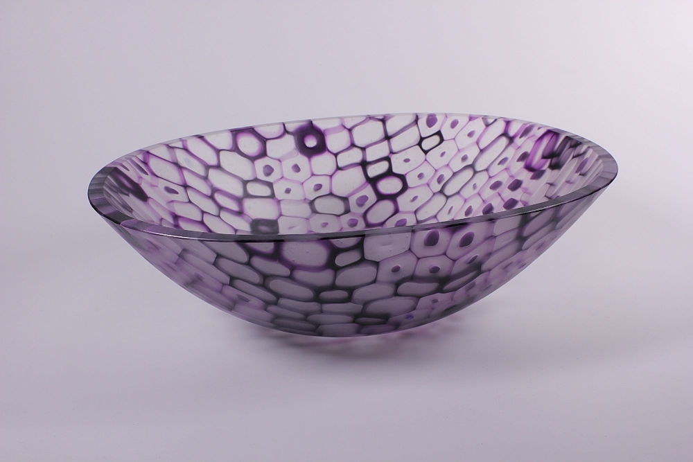 Allium Cepa 100x